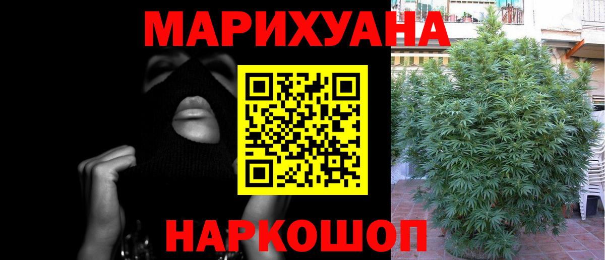 Бошки Шишки SATIVA & INDICA Сланцы